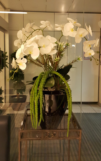 cvetlični aranžma bele orhideje