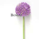 okrasni luk Allium umetno cvetje umetni luk lavanda barva