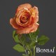 Vrtnica bogota oranzna 40 cm