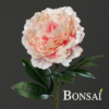 peonija svetlo roza 63 cm - umetno cvetje - okrasno cvetje - umetno cvetje - umetna peonija - roza peonija