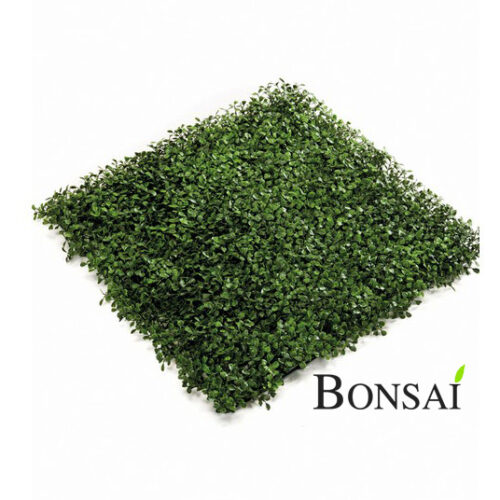 zelene stene pušpan zeleni paneli pušpan bux buxus