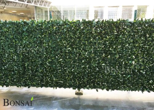 zelene stene green wall Lovorikovec