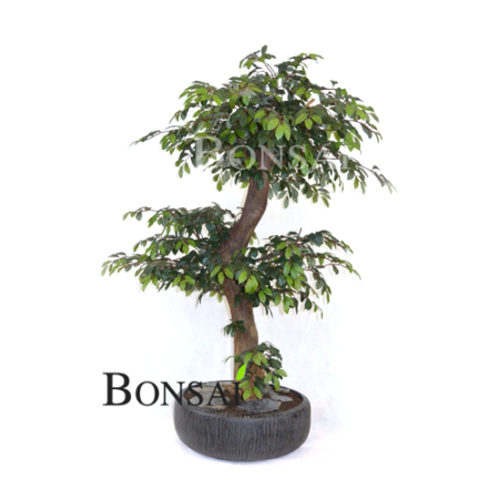 umetni bonsai Fikus Ficus umjetni veštački bonsai handmade