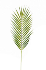 Umetna palmina veja 75cm