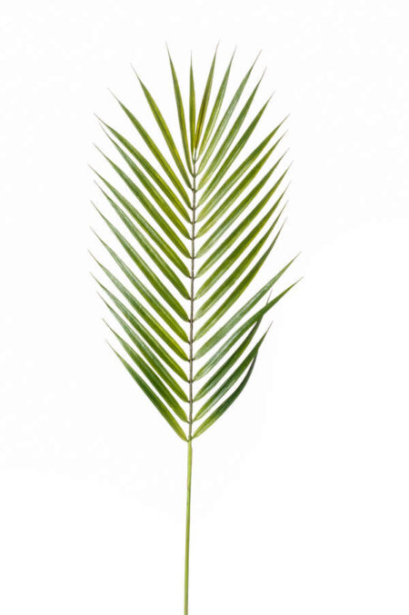 Umetna palmina veja 75cm