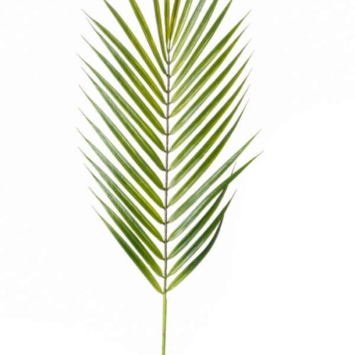 Umetna palmina veja 75cm
