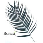 Palmina veja stabilizirana 100 - 110 cm (12kos)