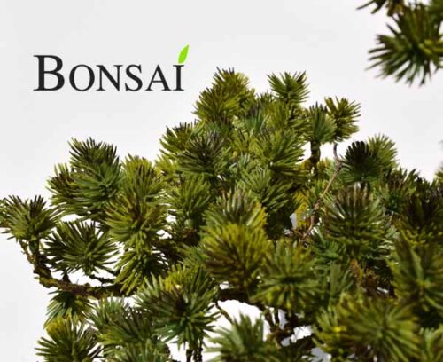 umetni bonsai pinija Handmade zoom artificial bonsai tree