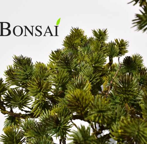 umetni bonsai pinija Handmade zoom artificial bonsai tree