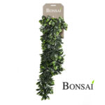 Tolstica viseča plezalka 80 cm