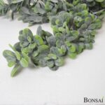 Tolstica viseča plezalka 80 cm