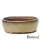 Bonsai posoda velikost XL