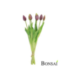 Umetni tulipan 44 cm - okrasni tulipani - umetni tulipani - vijolčni tulipani
