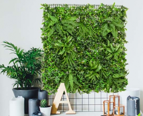 Zelena stena 100 x 100 cm z rastlinami