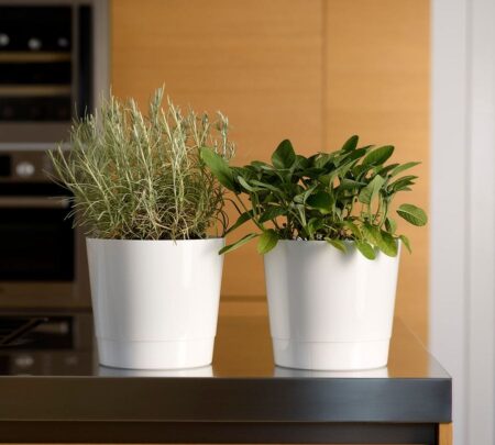 Okrasni lonec Mey 20 bele barve