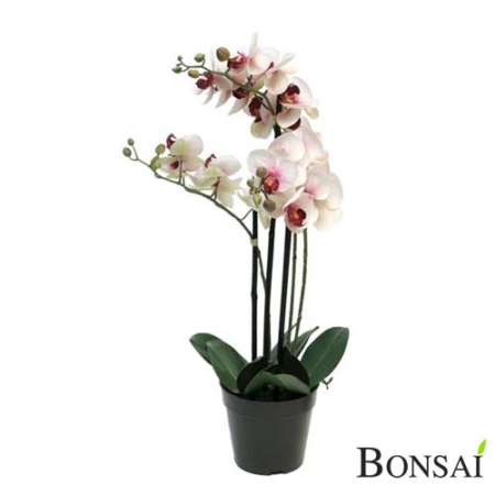 Aranžma orhideje real touch v lončku 60cm belo-roza