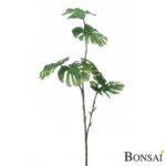 Monstera veja 70 cm