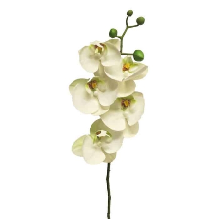 Umetne orhideje - bele barve - umetno cvetje Bonsai