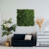 zelene stene pušpan - umetne rastline Bonsai