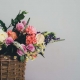 cvetje na dom by Bonsai