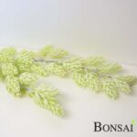 Islandski hmelj veja 70 cm