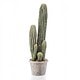 Umetni kaktus Mexico 57cm