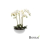 Orhideja bela aranžma v vazi 60 cm - umetno cvetje - umjetno cvijeće