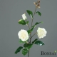 Vrtnica veja 2 cvetna 90cm