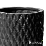 Okrasni lonec trend črne barve