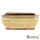Bonsai posoda 21x18x9