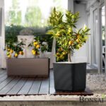 Okrasni lonec Mallorca