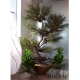 Umetni bonsai Monte Carlo 188 cm