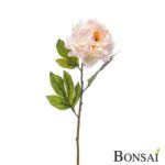 Peonija veja 78 cm roza