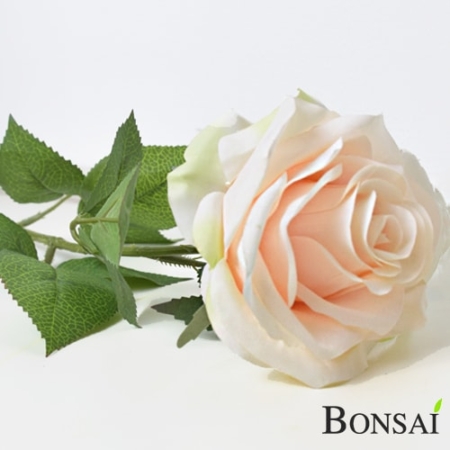 Vrtnica belo svetlo roza 63 cm