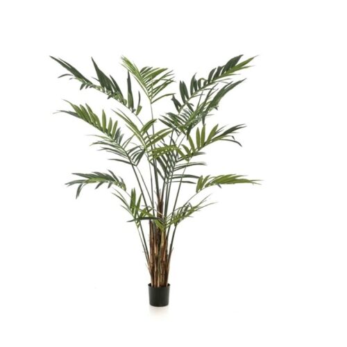 Umetna palma Kentia 270cm
