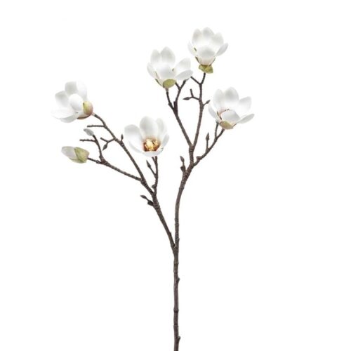 Umetna veja Magnolija krem 65 cm