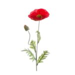 umetno cvetje - umetni Mak rdeč 70