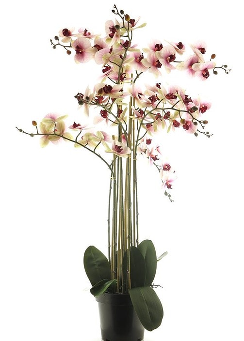 Umetna orhideja 110 cm belo roza