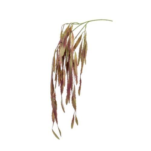 umetna plezalka ripsalis 80cm