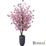 Češnja 150 cm do 300 cm