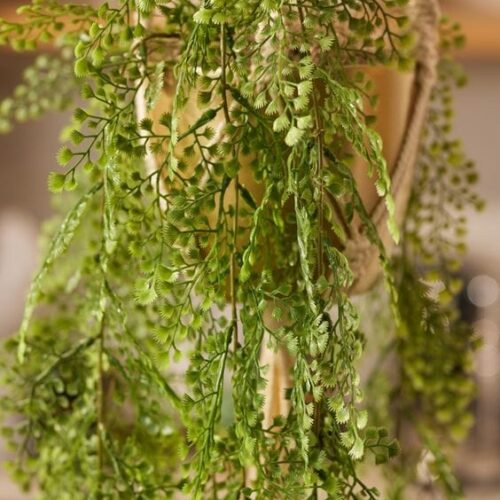 Umetne plezalke by Bonsai