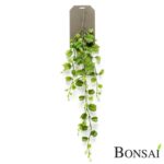 Umetna plezalka voščenka 90 cm