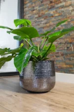 Cvetlični lonec Jenna siva sijaj D39H33