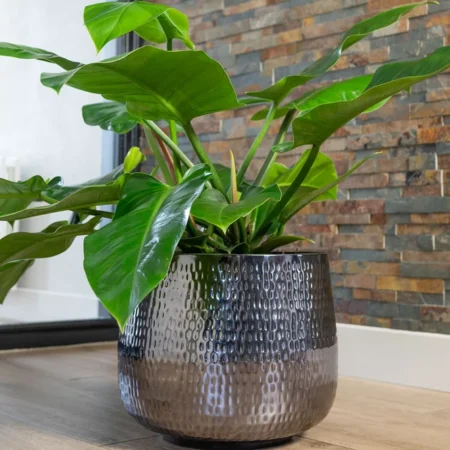 Cvetlični lonec Jenna siva sijaj D39H33