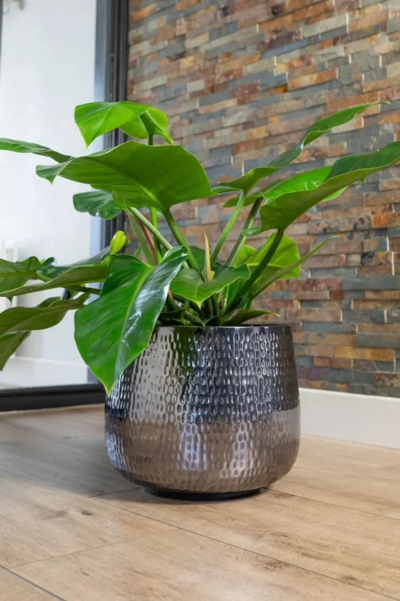 Cvetlični lonec Jenna siva sijaj D39H33