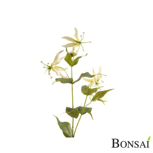 Gloriosa veja 70 cm bela - 60% POPUST