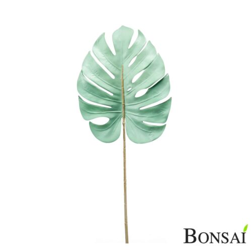 Monstera list Trend 75 cm svetlo zelen