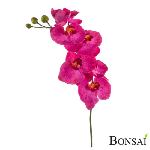 Orhideja veja 80 cm roza