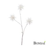 Veja x3 zvezdica 80 cm