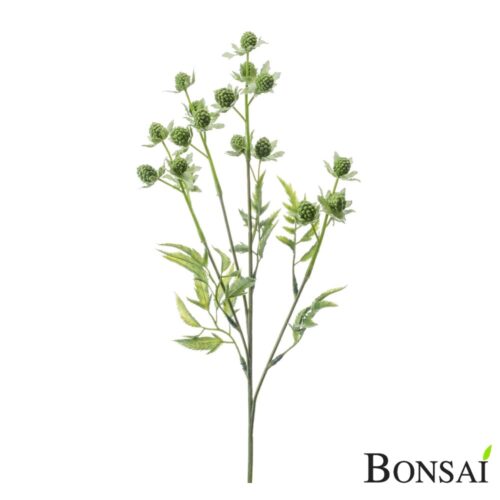Jagode veja zelena 45 cm